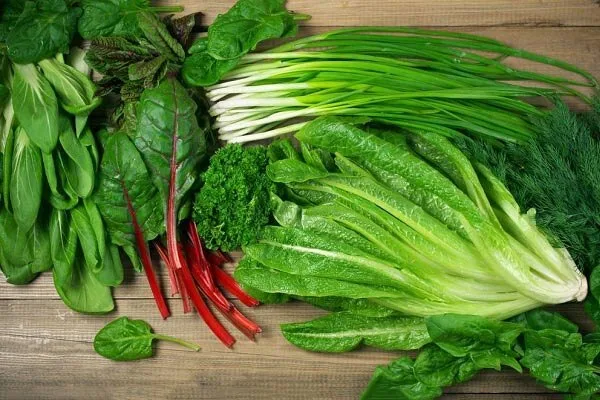 کاهش خستگی مزمن با غذاهای گیاهی: رویکردی علمی، اخلاقی و پایدار - تصویر 2 کاهش خستگی مزمن با غذاهای گیاهی: رویکردی علمی، اخلاقی و پایدار - تصویر 2