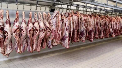 باشگاه خبرنگاران تهران ورزشی