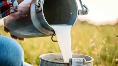 باشگاه خبرنگاران تهران ورزشی