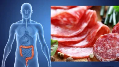 باشگاه خبرنگاران تهران ورزشی