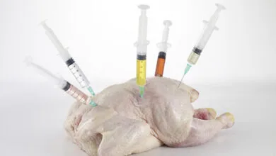 medicine injections on raw chicken on white,side view
