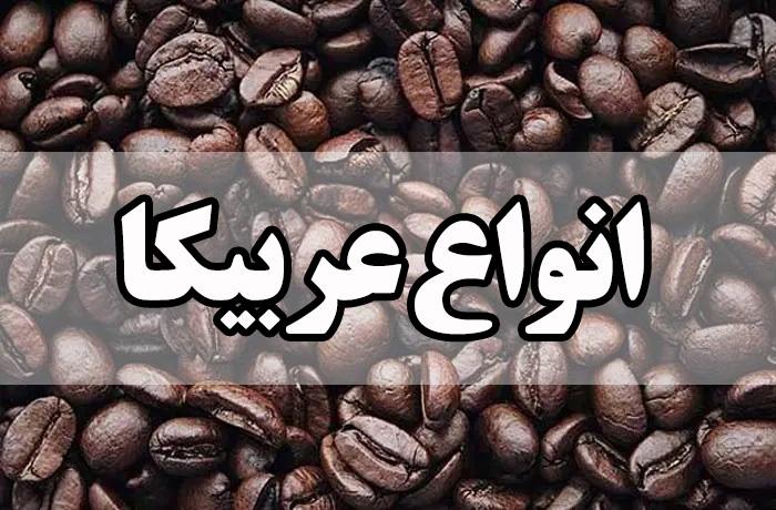 قهوه عربیکا اصفهان