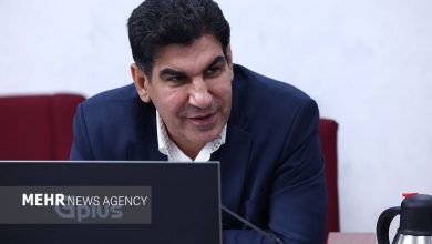 رئیس فدراسیون بوکس: دنیامالی دخالت نکرده است