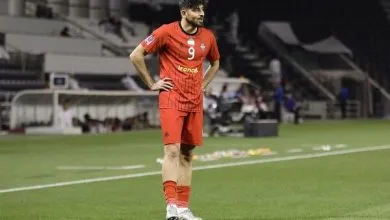 6013869.jpg